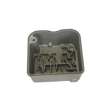 Customized Die Casting Housing for Auto Part (DR345)